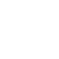 github Icon