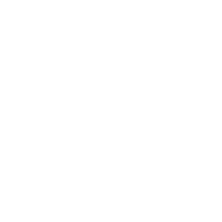 Spotify Icon